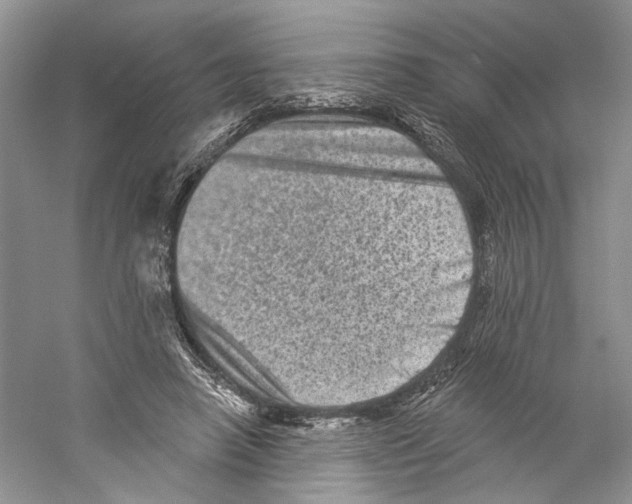 X0000059240450200511111619