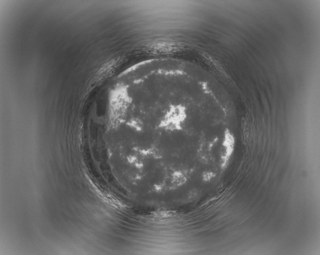 X0000059240451200511111619