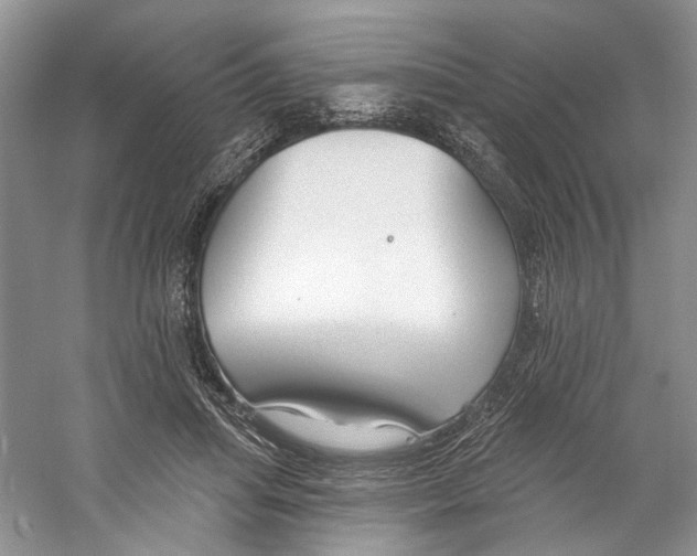 X0000059240455200511111619