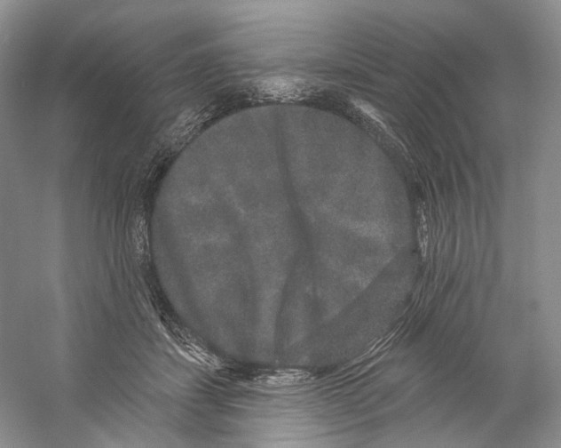 X0000059240459200511111619