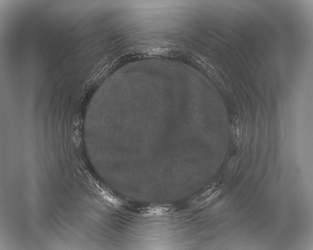 X0000059240462200511111619