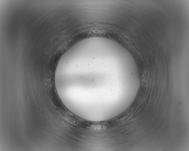 X0000059240464200511111619