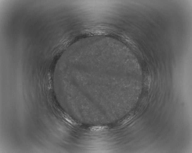 X0000059240465200511111619