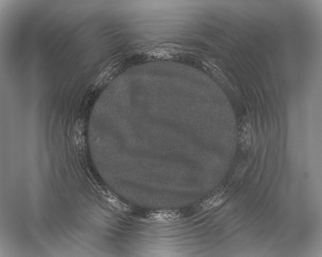 X0000059240466200511111619