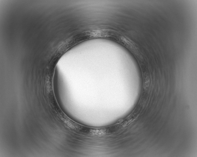 X0000059240469200511111619