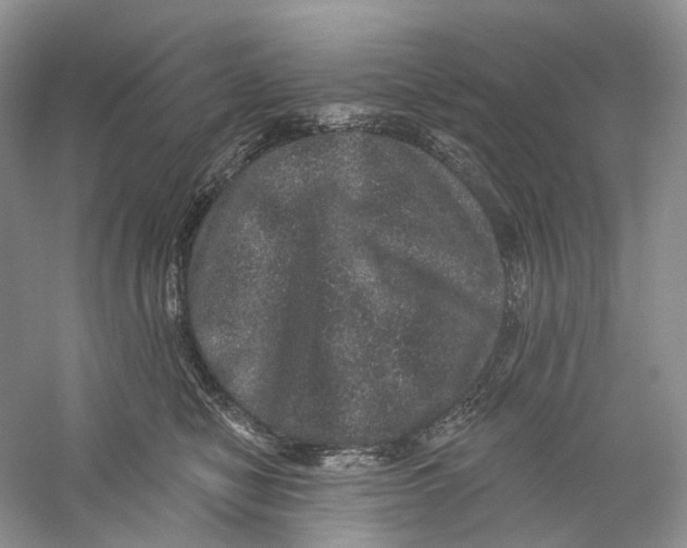 X0000059240470200511111619