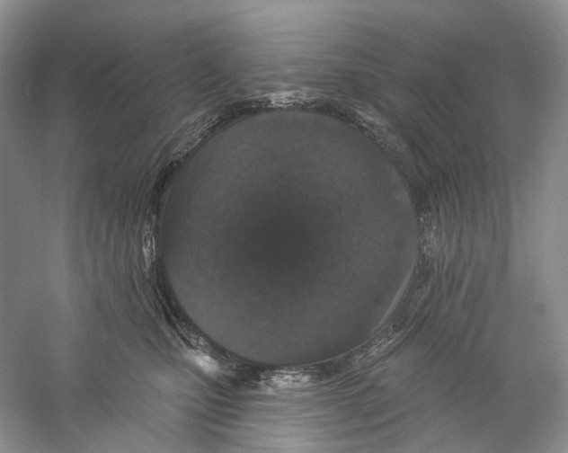 X0000059240471200511111619