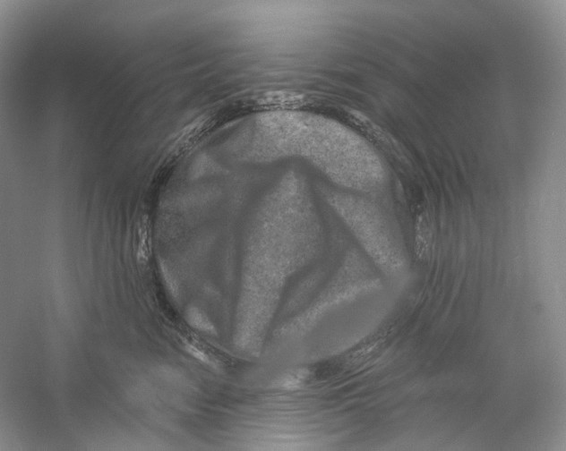 X0000059240474200511111620