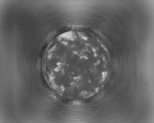 X0000059240475200511111620