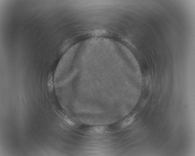 X0000059240479200511111620