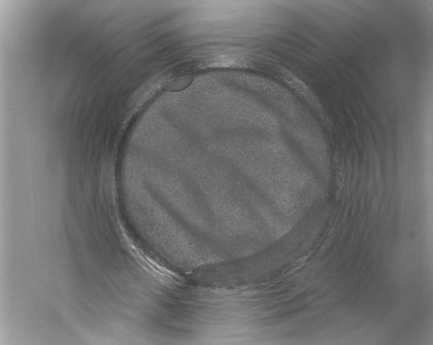 X0000059240482200511111619
