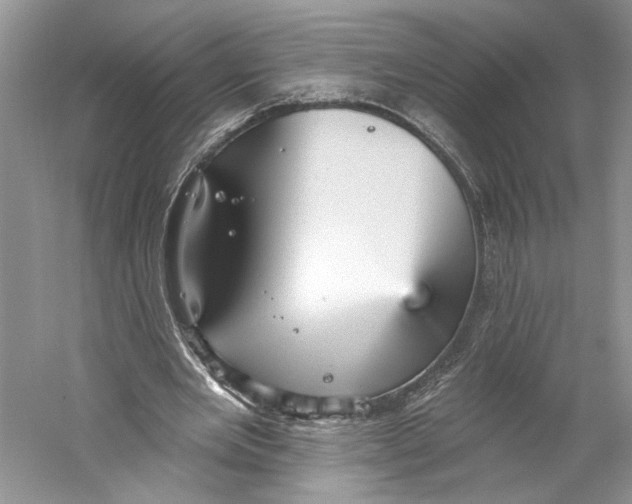 X0000059240485200511111619
