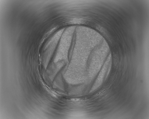 X0000059240486200511111619