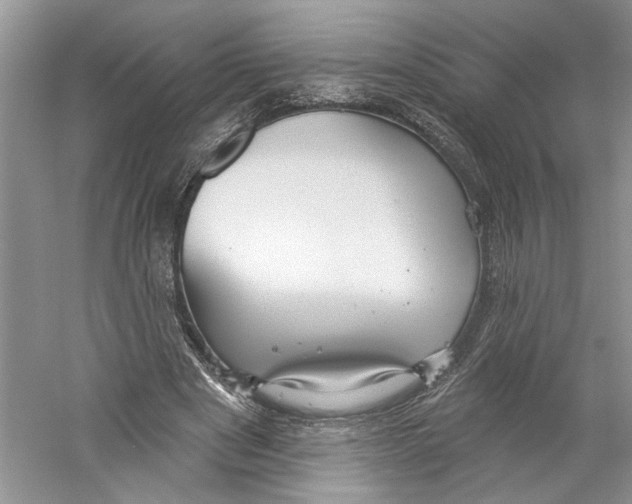 X0000059240489200511111619
