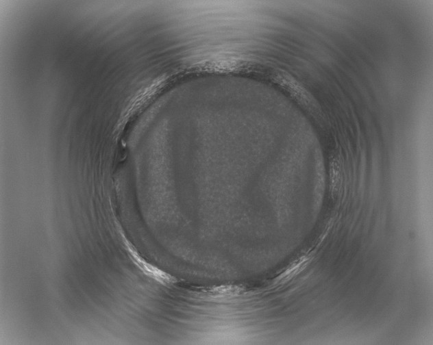X0000059240493200511111619