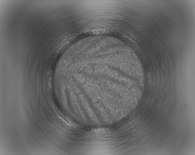 X0000059240499200511111618