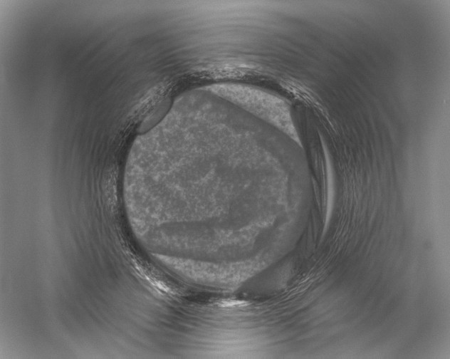 X0000059240501200511111618