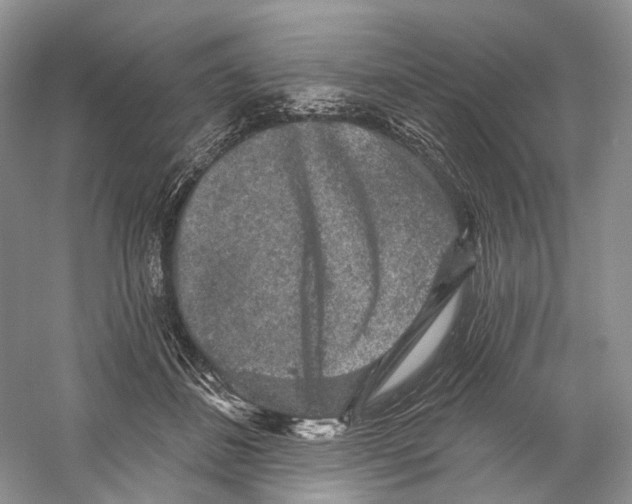X0000059240508200511111618