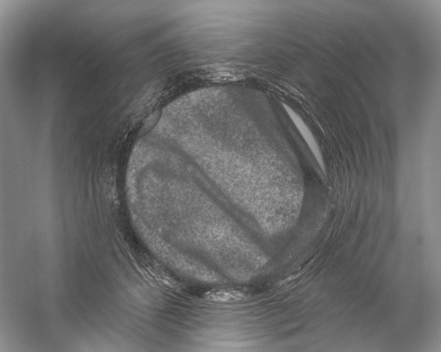 X0000059240512200511111618