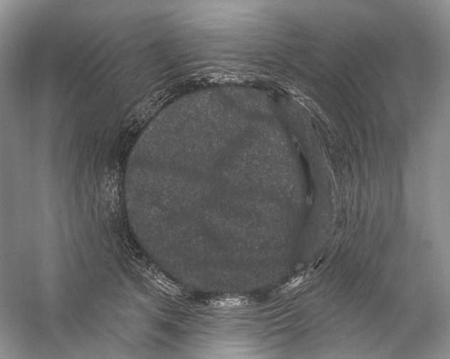 X0000059240513200511111618