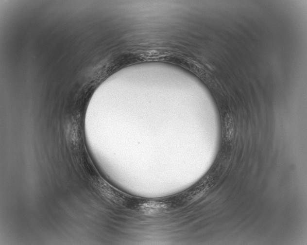 X0000059240515200511111618