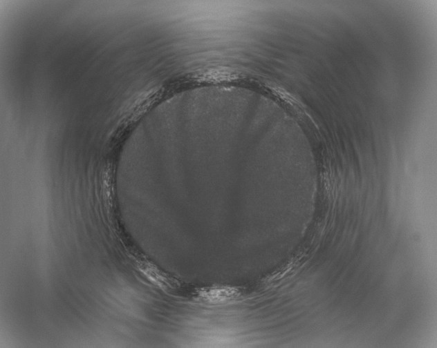 X0000059240517200511111618