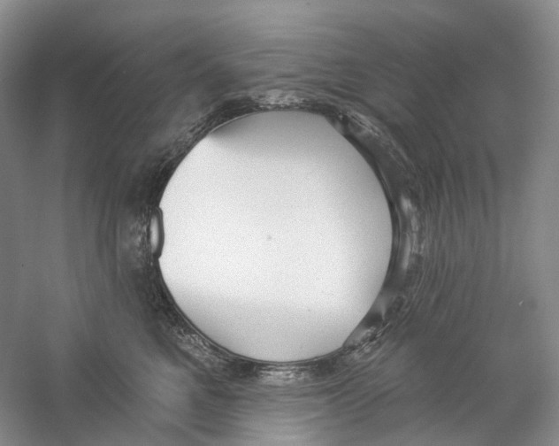 X0000059240521200511111618