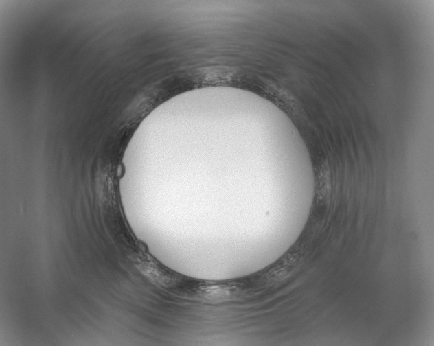 X0000059240522200511111618