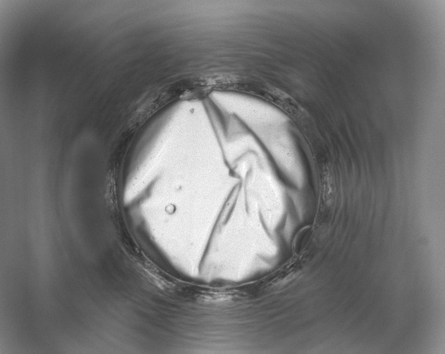 X0000059240523200511111618