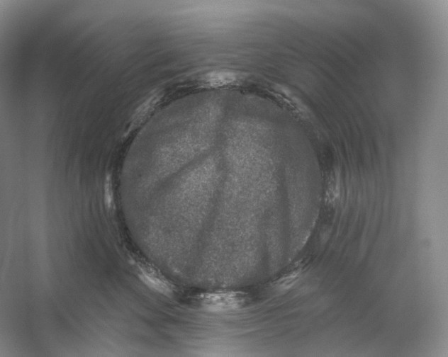 X0000059240524200511111618