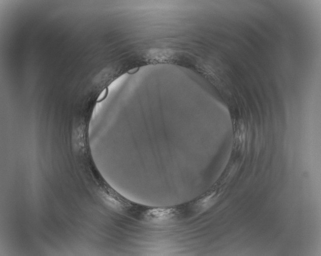 X0000059240526200511111618
