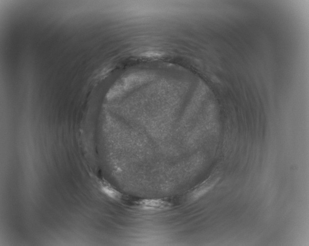 X0000059240528200511111618