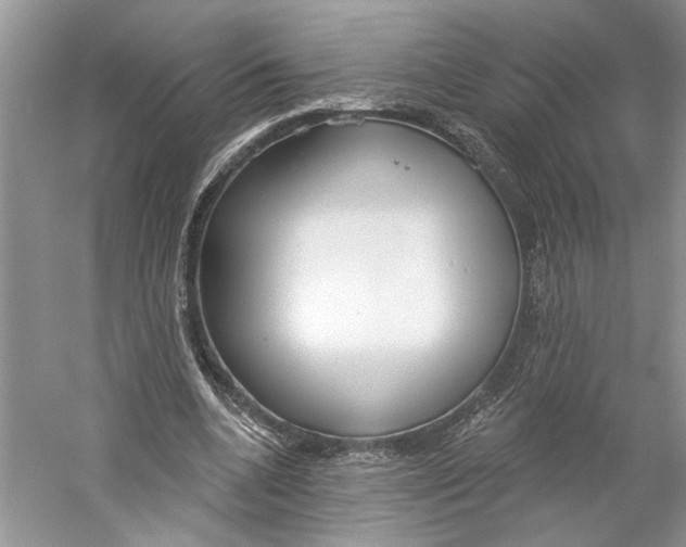 X0000059240536200511111617