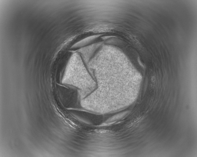 X0000059240539200511111617