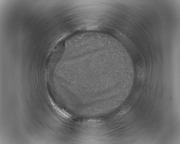 X0000059240542200511111617