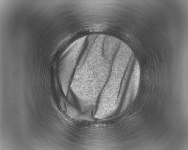 X0000059240543200511111617