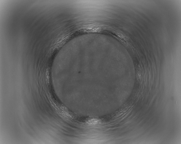 X0000059240551200511111618