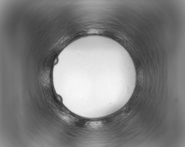 X0000059240554200511111618