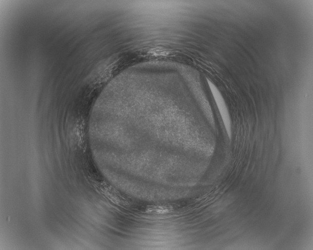 X0000059240559200511111618