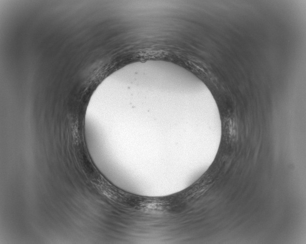 X0000059240564200511111618