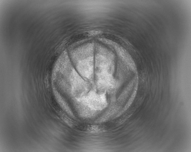 X0000059240565200511111618
