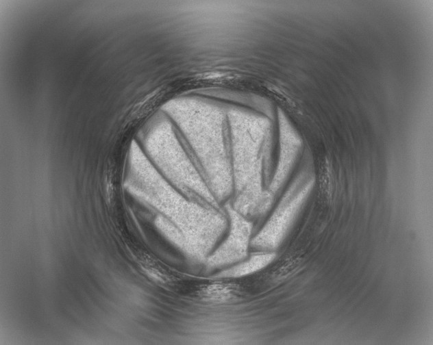 X0000059240566200511111618