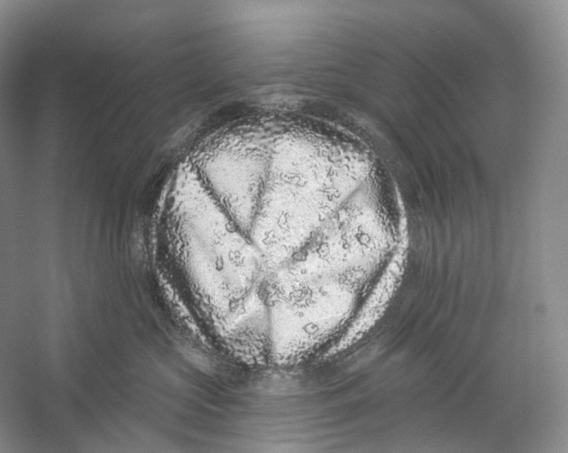 X0000059240573200511111618