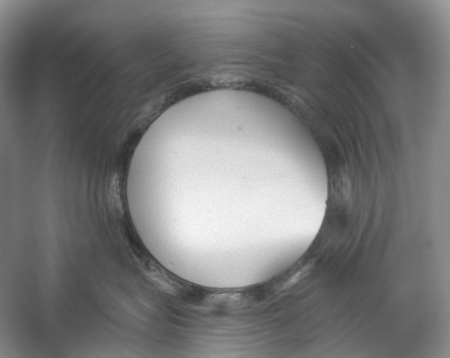 X0000059240575200511111618