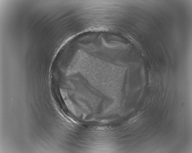 X0000059240584200511111617