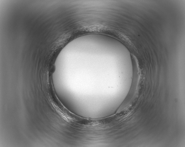 X0000059240589200511111617