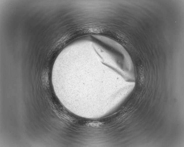 X0000059240595200511111617