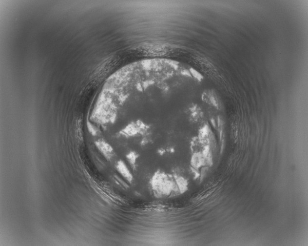 X0000059240598200511111617