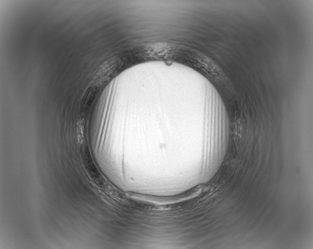 X0000059240602200511111617