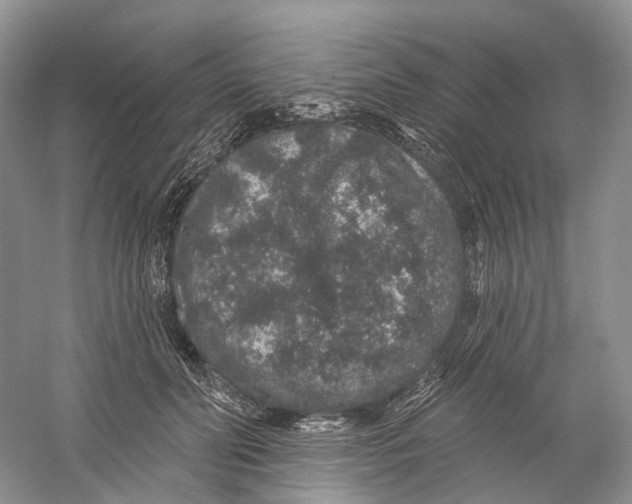 X0000059240606200511111617